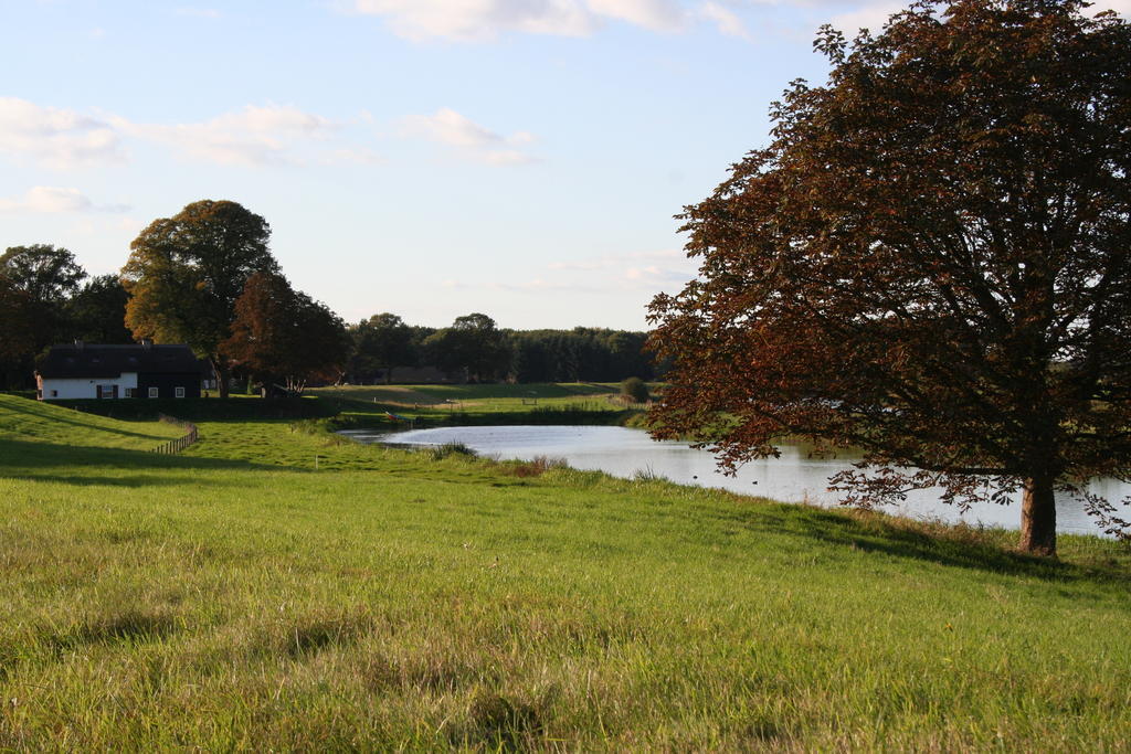Zwaluwhof Dalfsen Exterior foto